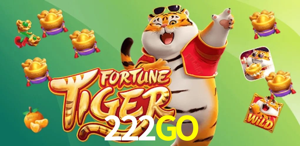 Instalador 222GO Windows